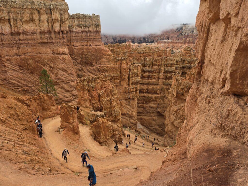Hikers in Bryce Canyon